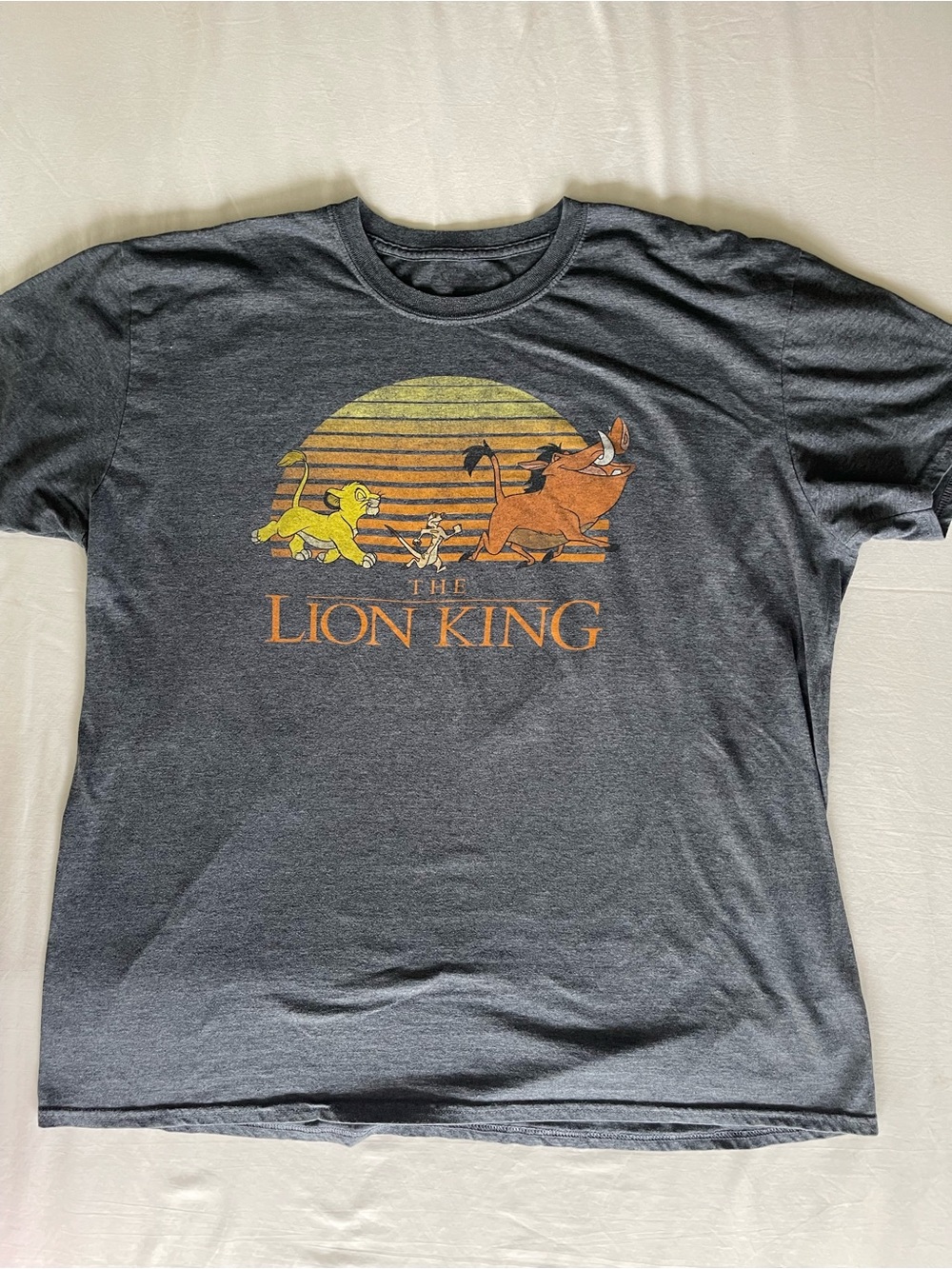 Disney Lion King Sunset Graphic Tee - Charcoal